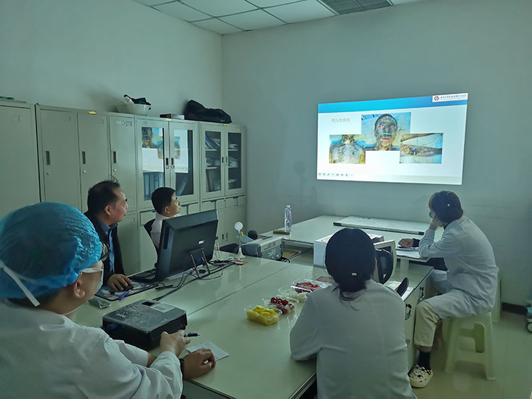 J9集团|国际站官网