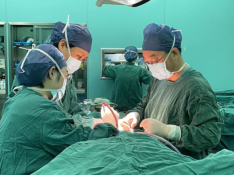 J9集团|国际站官网