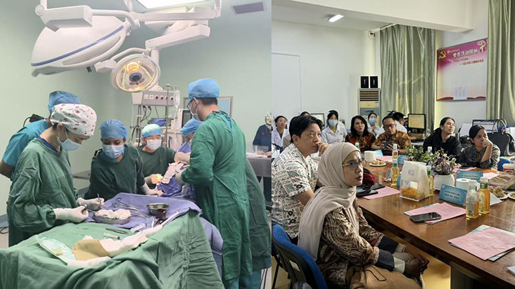 J9集团|国际站官网