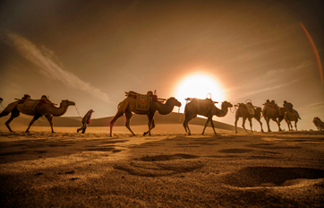 J9集团国际 “一带一路”建议培训平台